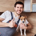 Best Low Maintenance Pets for First-Time Owners