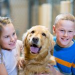 10 Essential Tips for First-Time Pet Owners