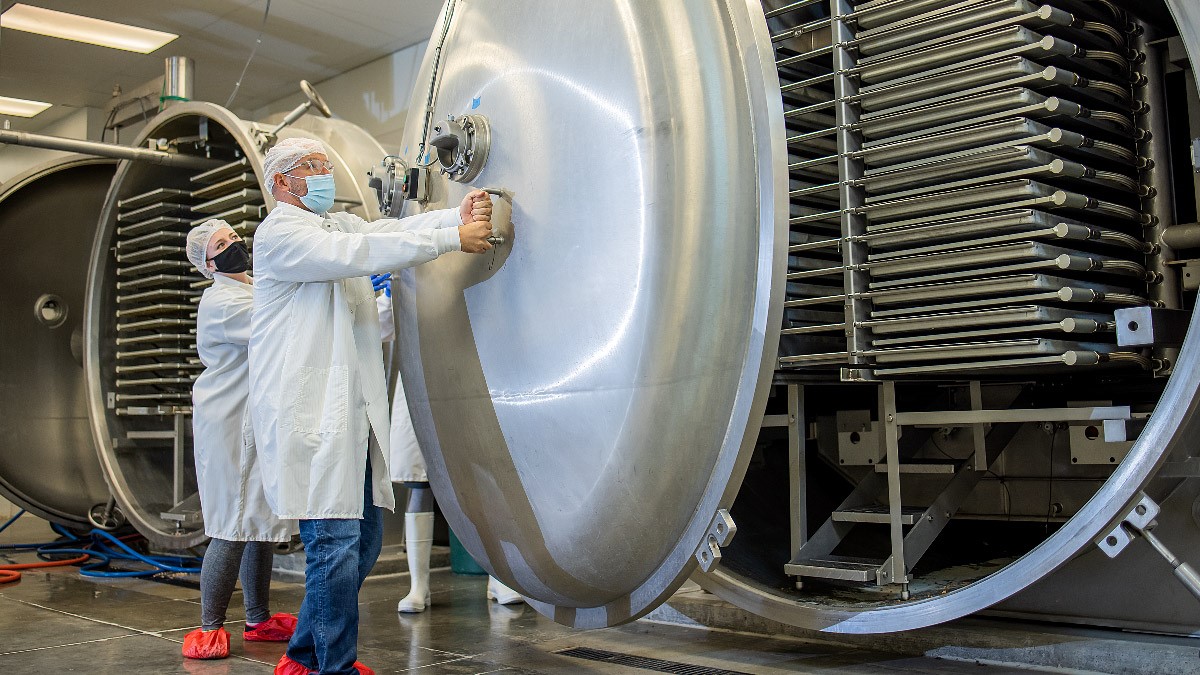 Choosing The Right Industrial Freeze Dryer Key Considerations And Benefits
